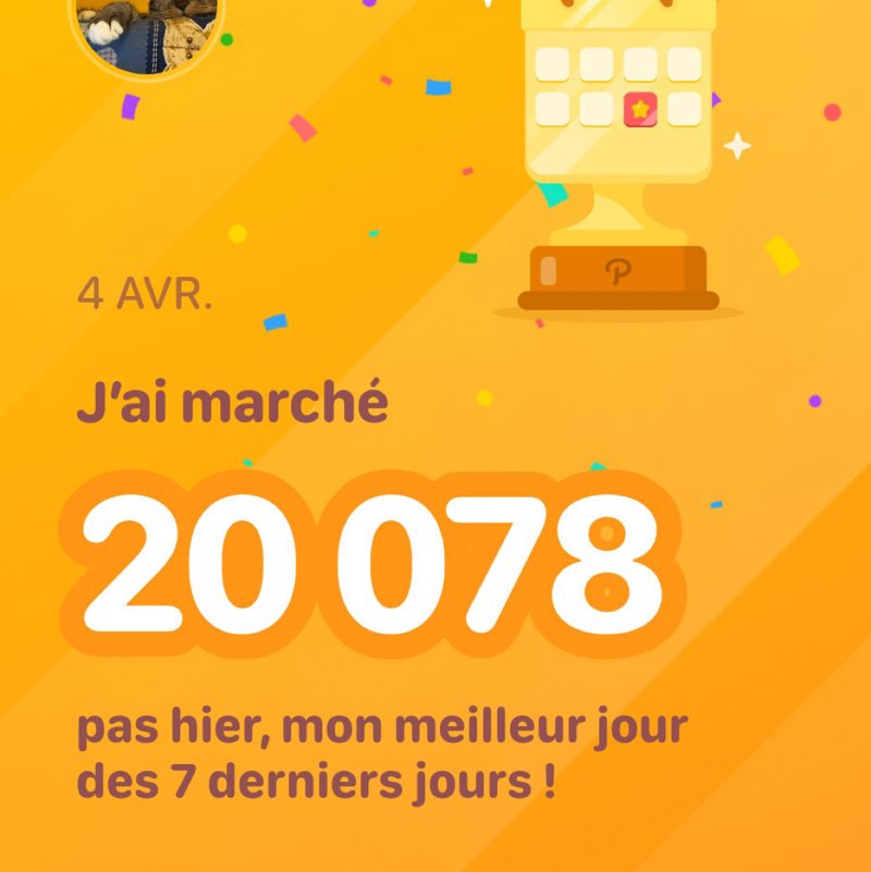 jtr.csf😺🦊🦉 post 1