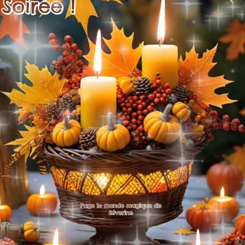 November 5k Race #1 michou du 24 post image