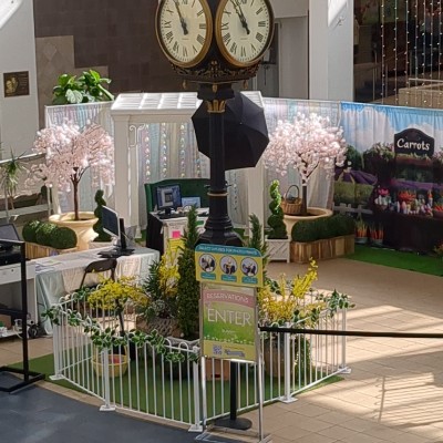 Ryan 莫老师🇺🇸❤️🇨🇳 post 3