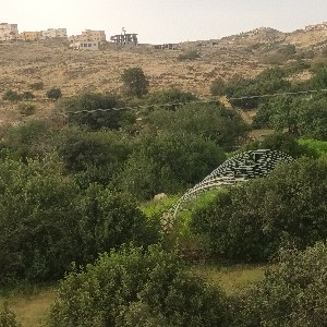 محمود الريمي(مكة) icon