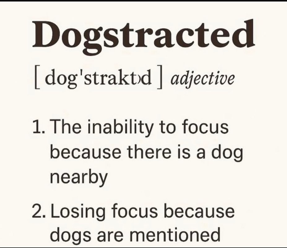 Pinky19UK 🐕🐶🐈‍⬛🐾❤️