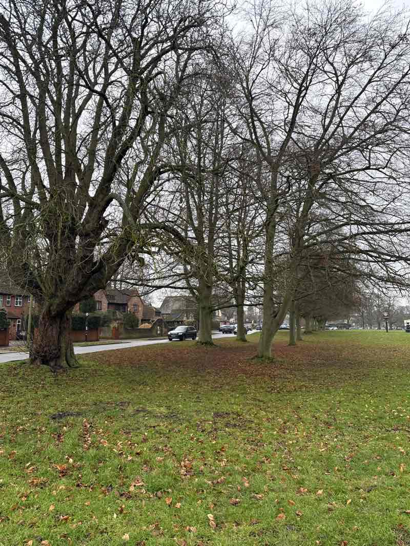 walking near me in Harpenden Common in winter