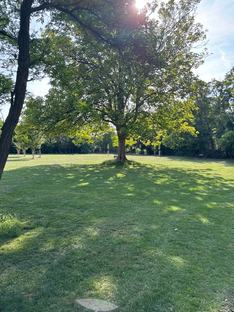 walking near me in Warren Park in summer