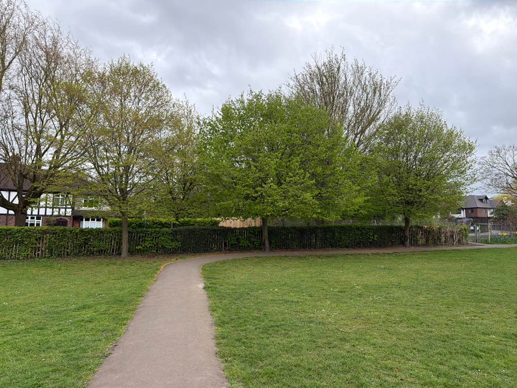 walking near me in Warren Park in spring