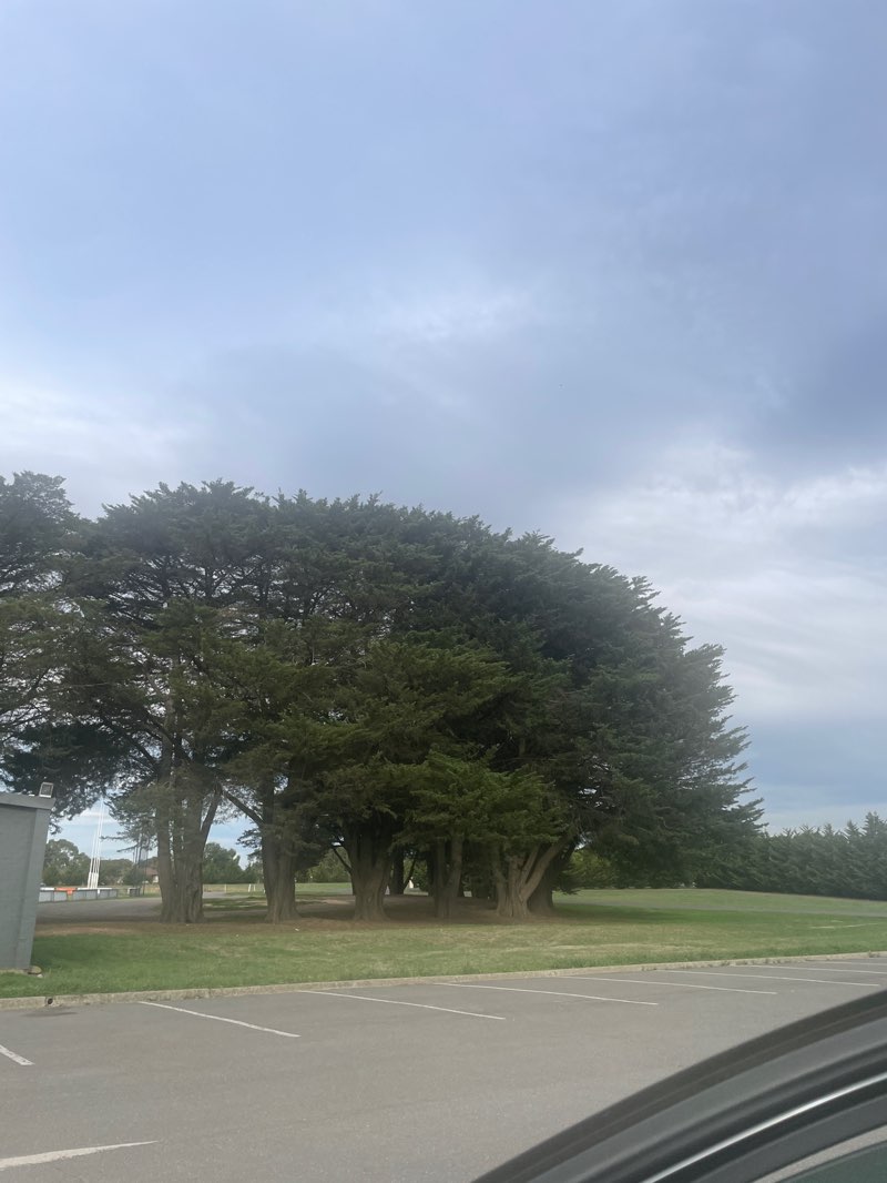 walking near me in Riddells Creek Recreation Reserve in autumn