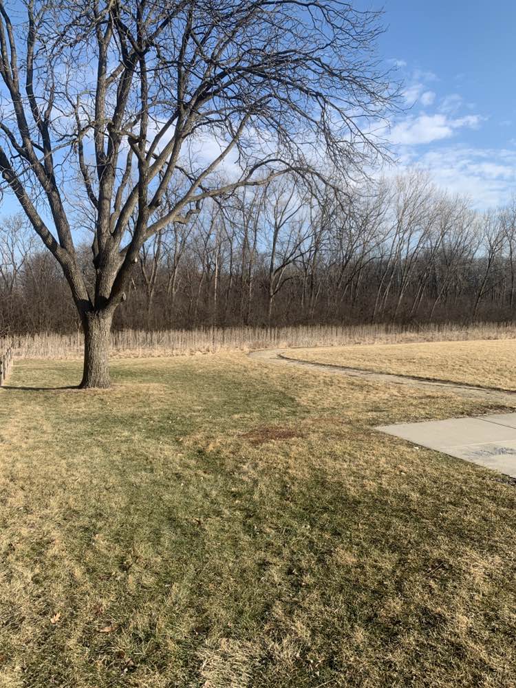 walking near me in Walnut Park in winter