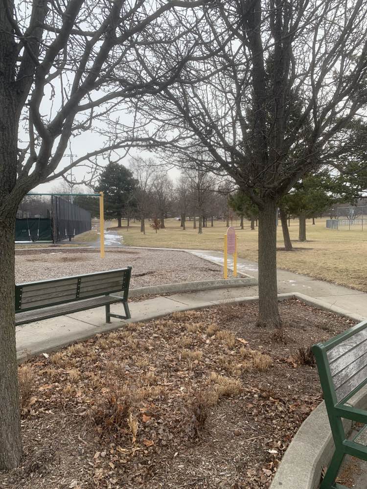 walking near me in McCollum Park in winter
