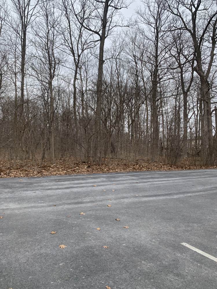 walking near me in Gilbert Park in winter