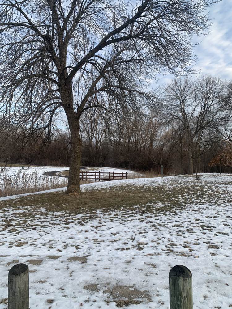 walking near me in Hoopers Hollow Park in winter