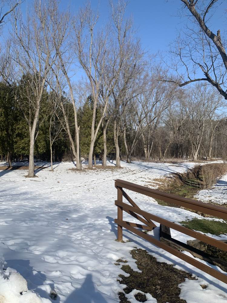 walking near me in Natureland County Park in winter