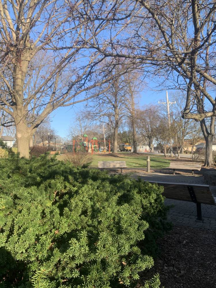 walking near me in Connelly Memorial Park in spring