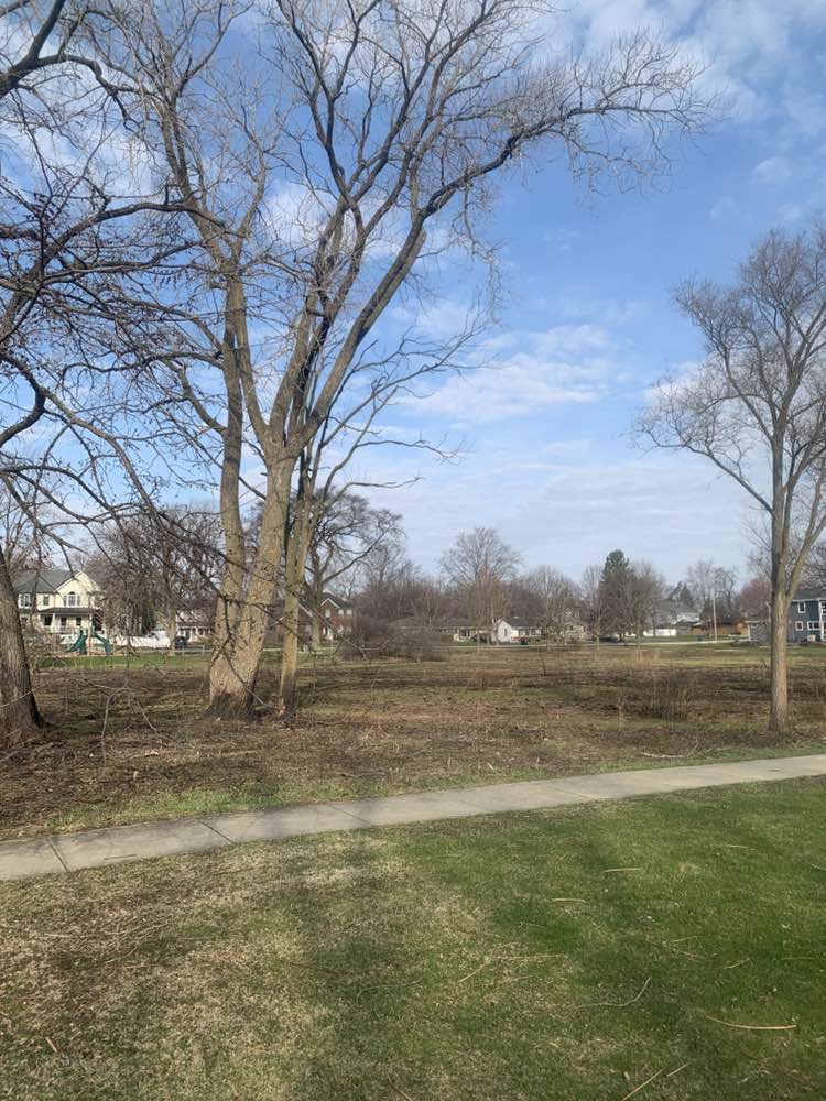 walking near me in Wallingford Park in spring