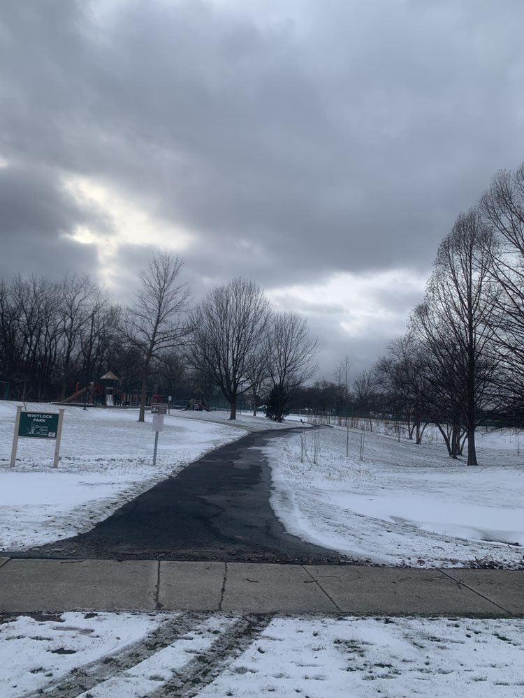 walking near me in Whitlock Park in spring