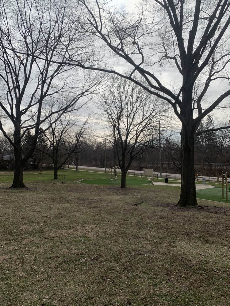 walking near me in Loy Park in spring