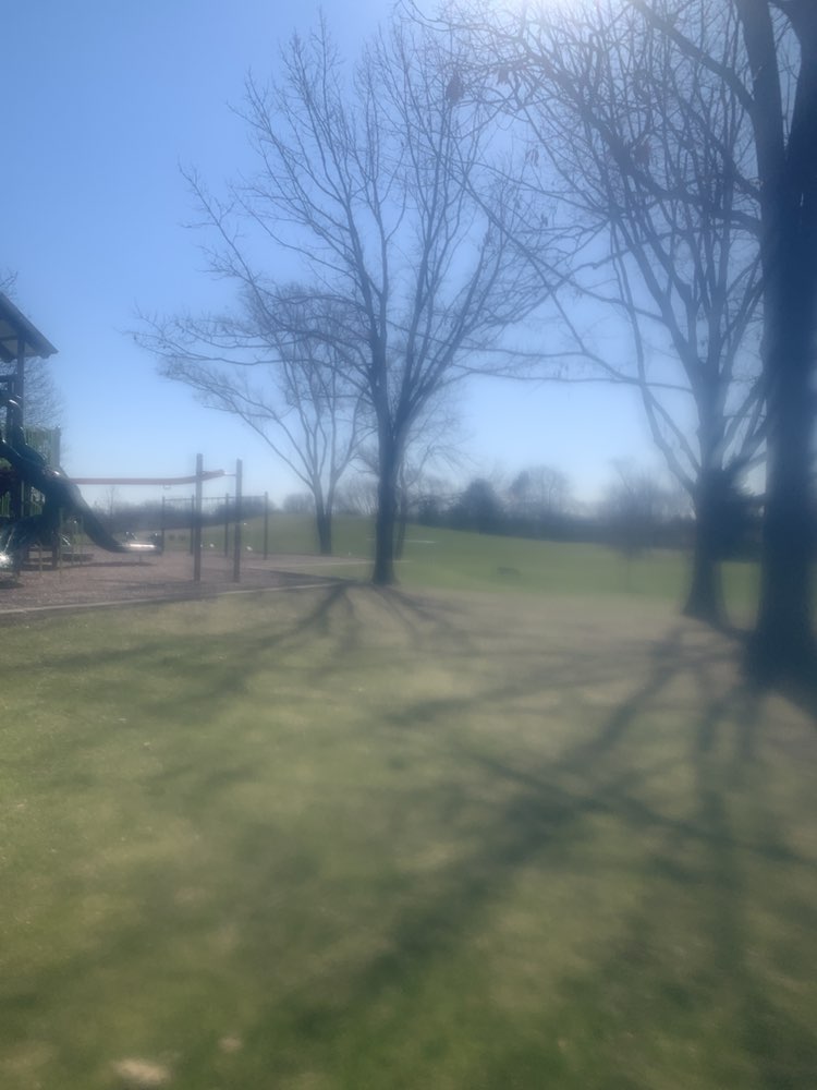 walking near me in O'Brien Park in spring