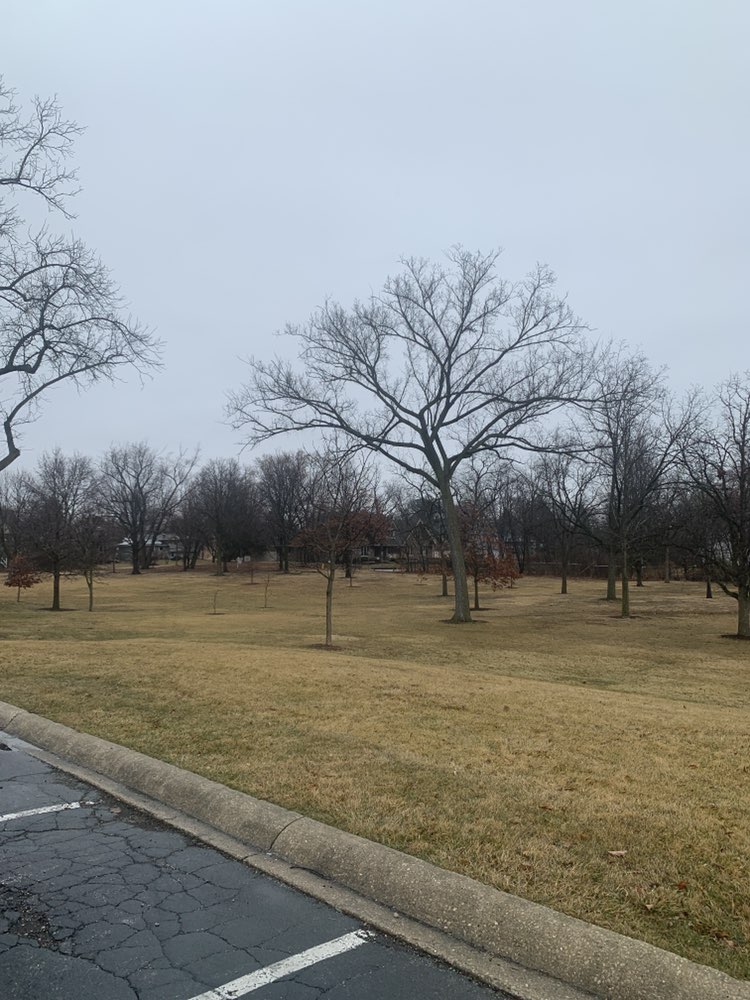 walking near me in Hummer Park in spring