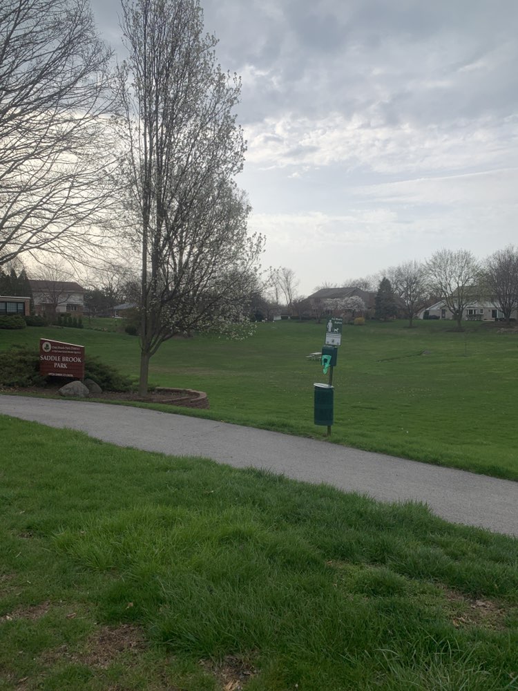 walking near me in Saddlebrook Park in spring