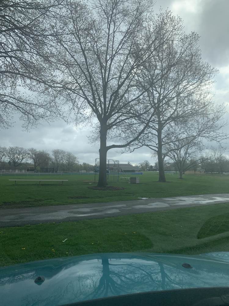 walking near me in Prospect Park in spring
