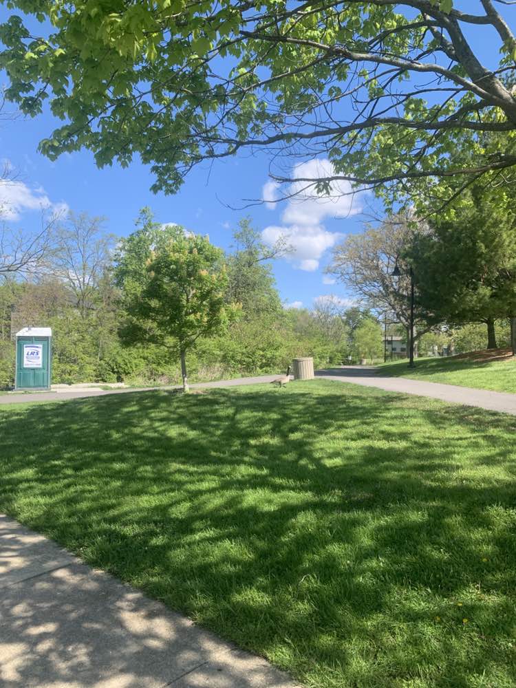 walking near me in Lake Harriet Park in spring