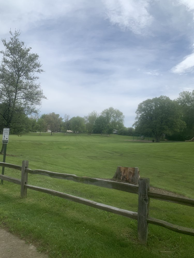 walking near me in Kingston Park in spring