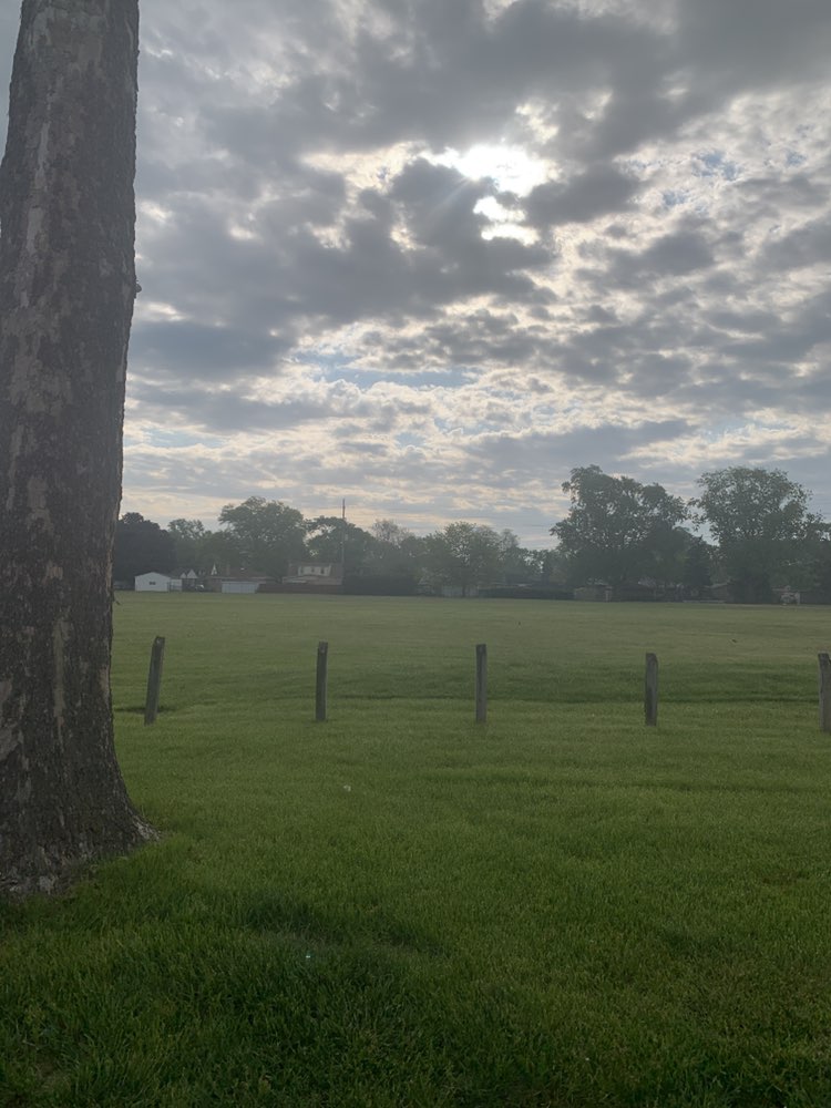walking near me in Gladstone Park in spring