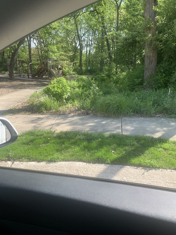 walking near me in Candlewood Park in spring