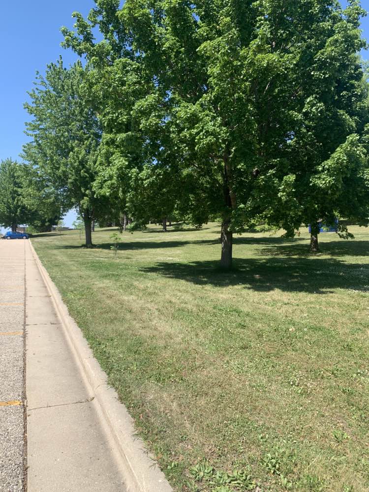 walking near me in Starin Park in summer