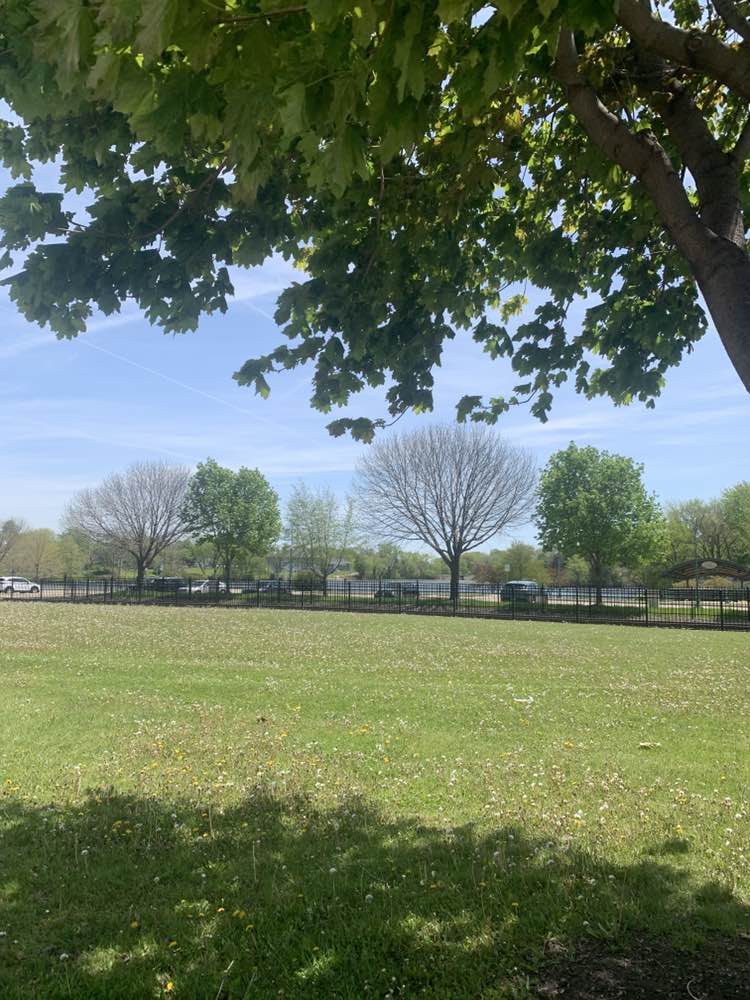 walking near me in Cravath Lakefront Park in spring