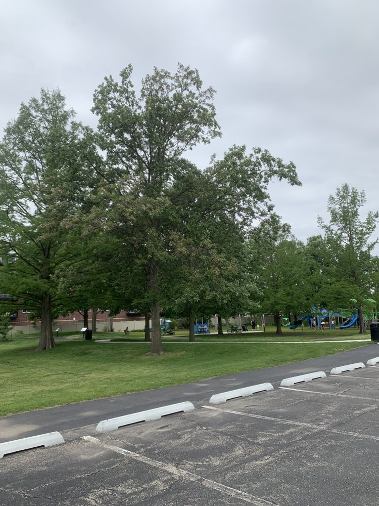 walking near me in Constitution Park in summer
