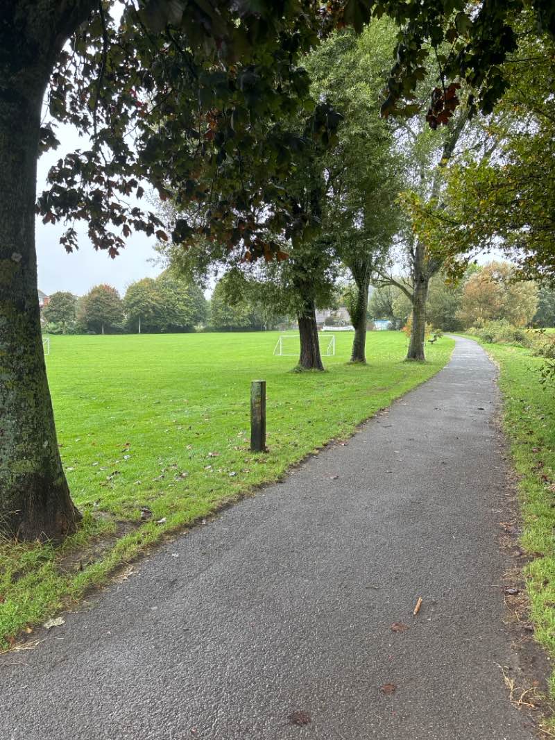 walking near me in St Mary's Churchyard in autumn
