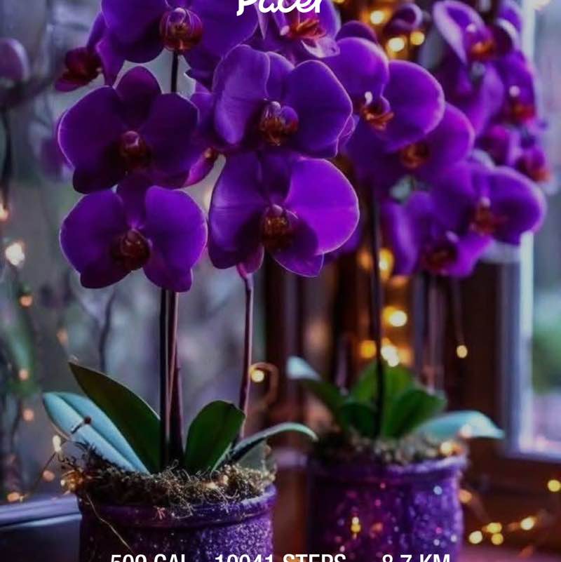 ❤️🦋🧿 🧚‍♀️TINKA 🧚‍♀️🧿🦋❤️⚖️ post 3