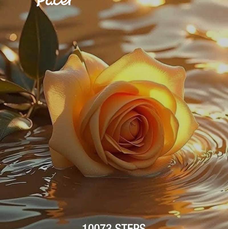 ❤️🦋🧿 🧚‍♀️TINKA 🧚‍♀️🧿🦋❤️⚖️ post 3