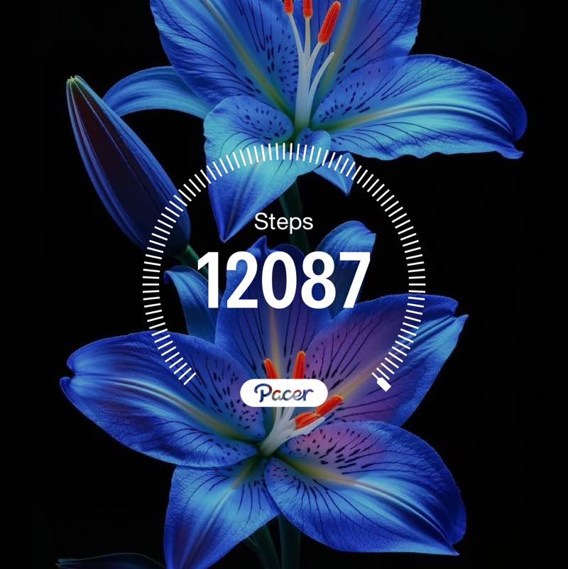 3 lbs a month down! ❤️🦋🧿 🧚♀️TINKA 🧚♀️🧿🦋❤️⚖️ post image