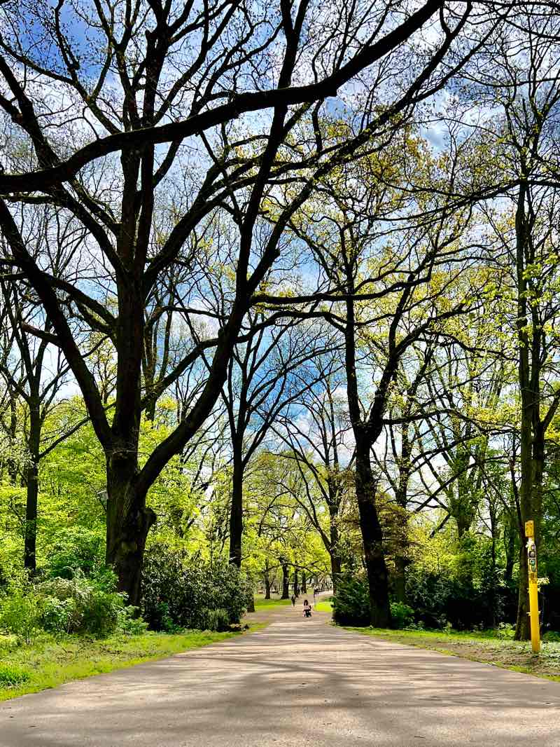 walking near me in Ostpark in winter