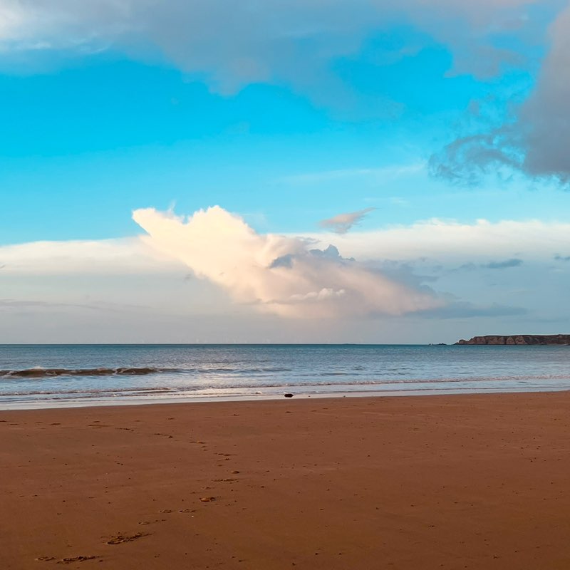 En Marche Breizh Ulrike post image