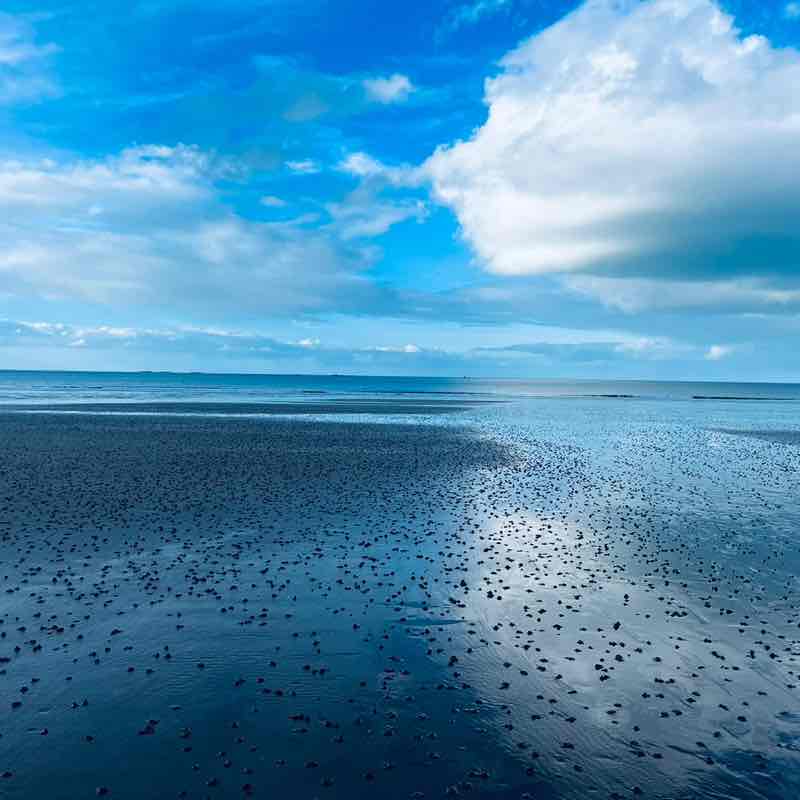 En Marche Breizh Ulrike post image