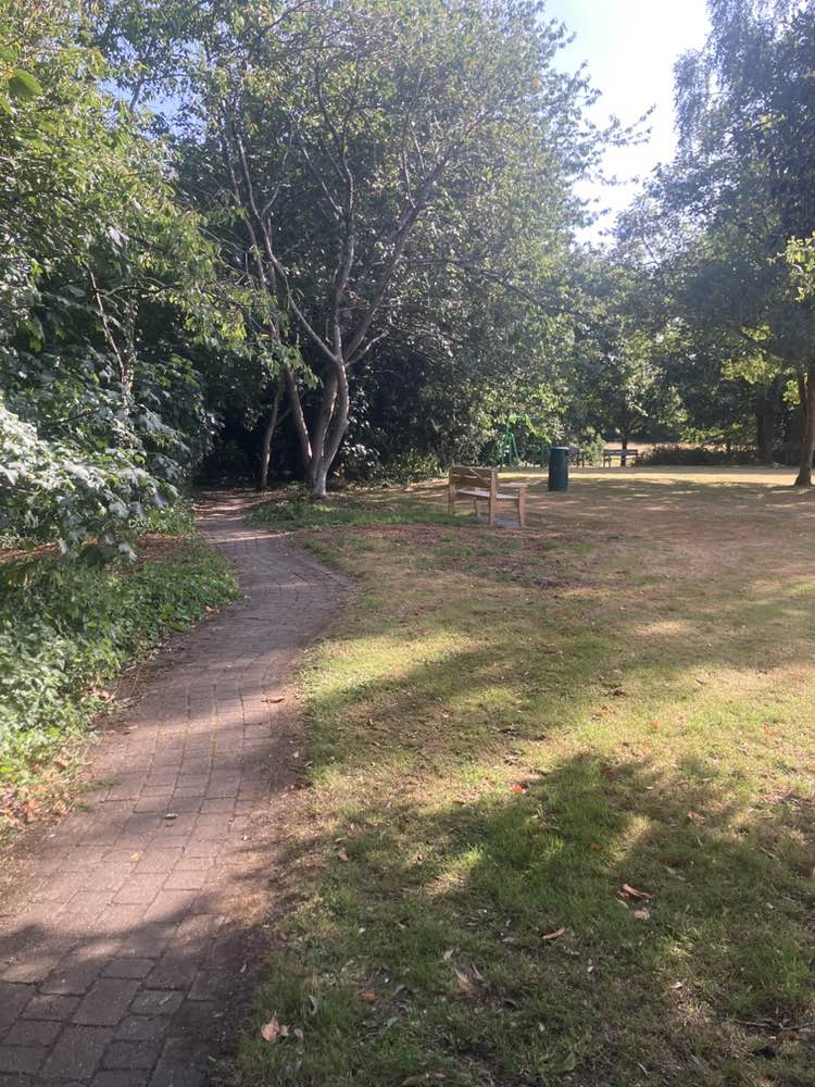 walking near me in Fremington Village Green in summer