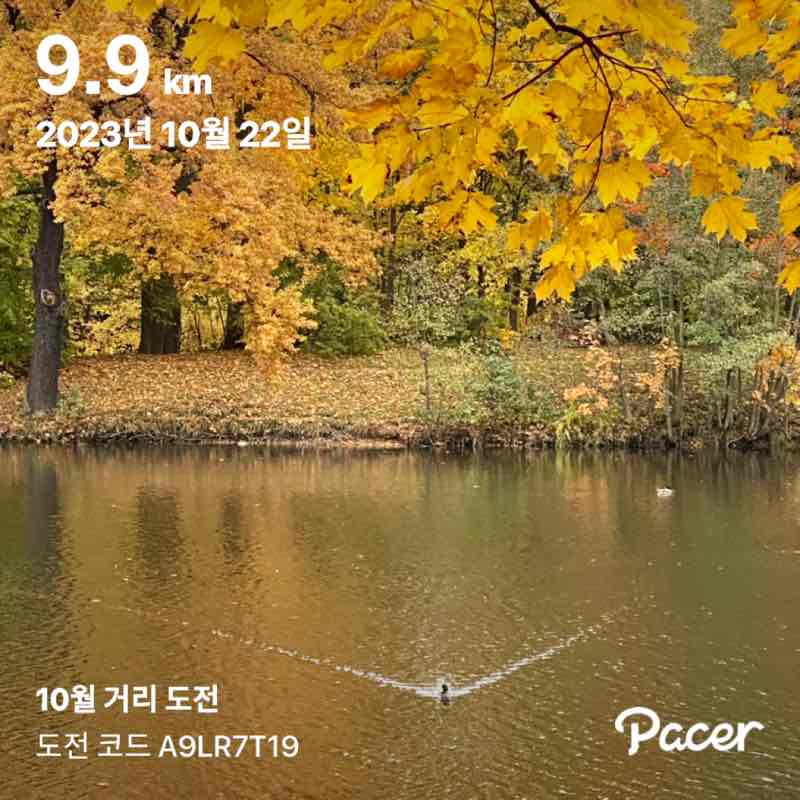 이형석 🇰🇷 post 1