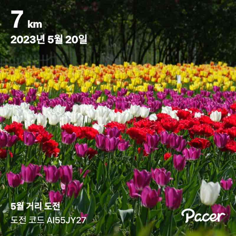 이형석 🇰🇷 post 1