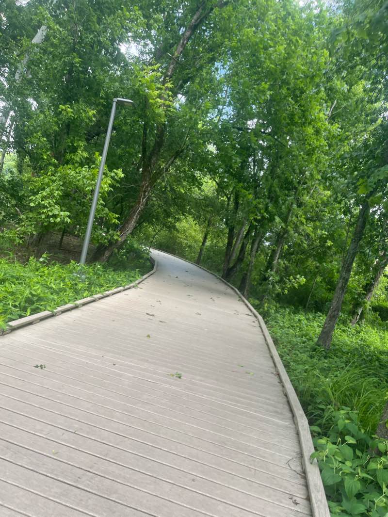 walking near me in Lakeshore Park in winter