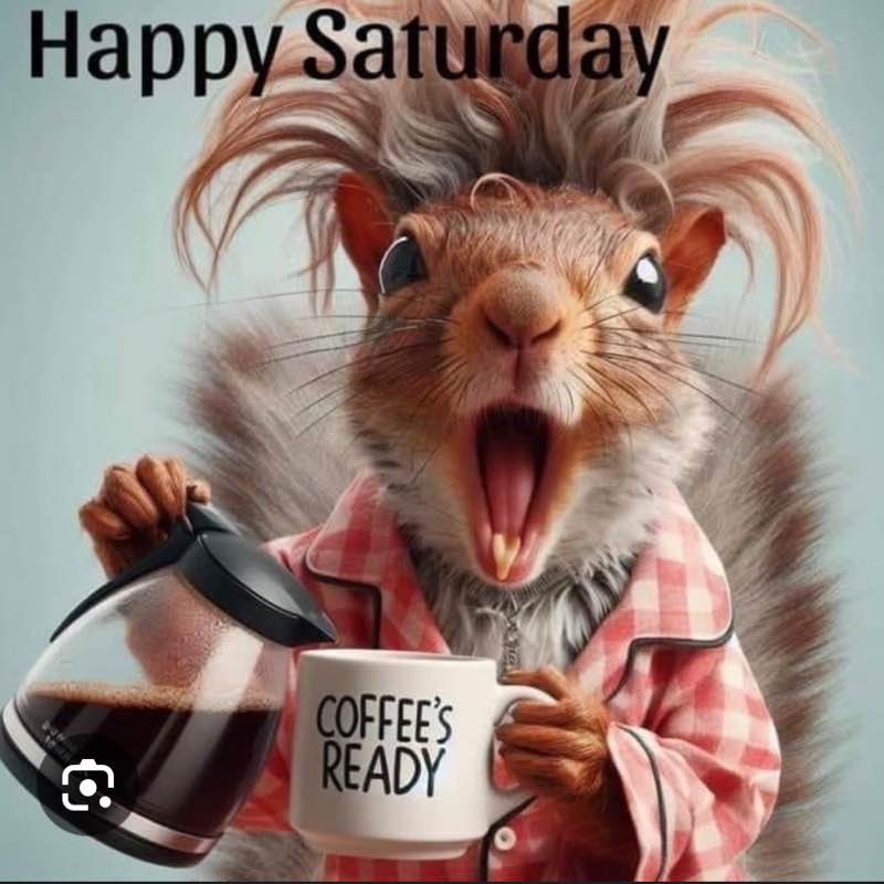 🙋🏻‍♀️🌼💙𝑫𝒂𝒘𝒏𝒊𝒆𝑫𝒂𝒘𝒏2.0💪😘✨🌼🎄 post 1