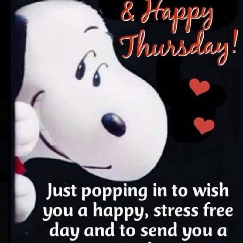 ✨🌼𝓓𝓪𝔀𝓷𝓲𝓮𝓓𝓪𝔀𝓷🌼✨ post 1