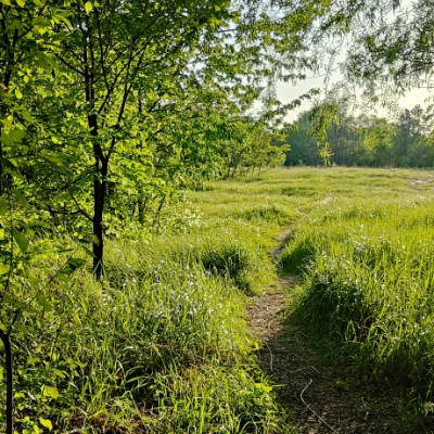 Parcul Văcărești-Running Lucian Dantes🇷🇴 post image