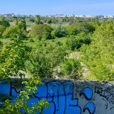 Parcul Văcărești-Running Lucian Dantes🇷🇴 post image