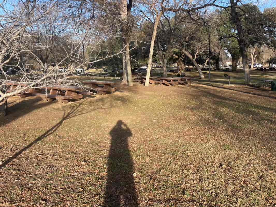 walking near me in Landa Park in winter