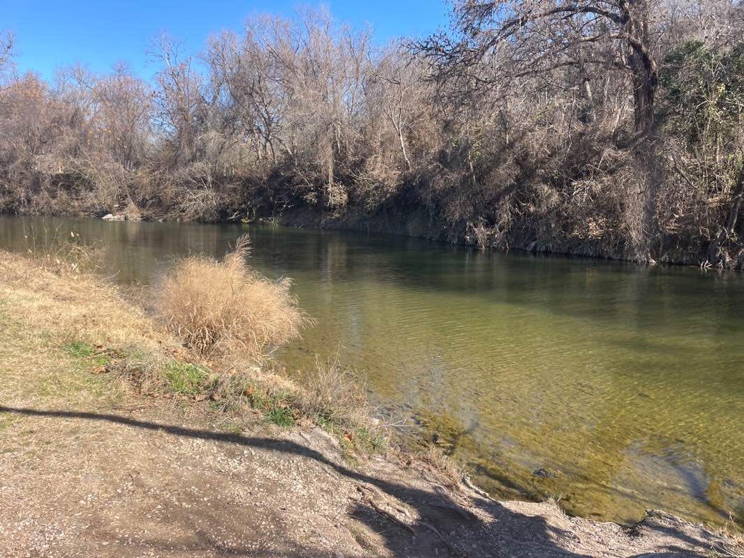 walking near me in Cypress Bend Park in winter