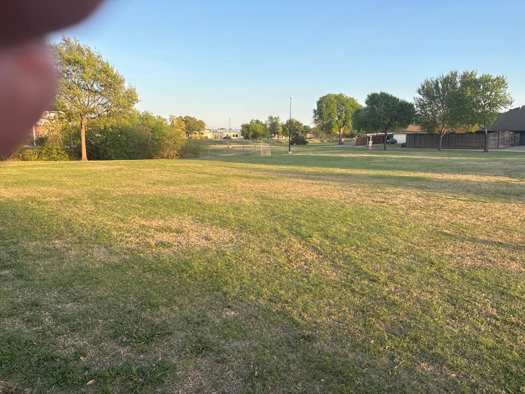 walking near me in Evans Park in spring