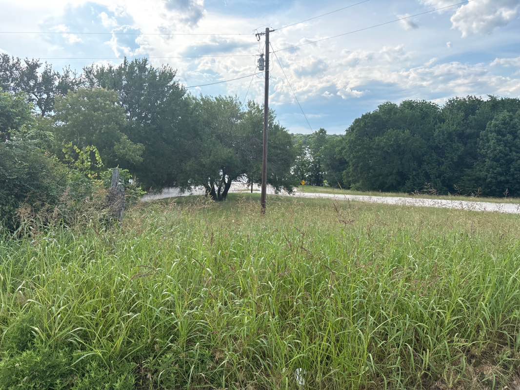 walking near me in Mallard Park in summer