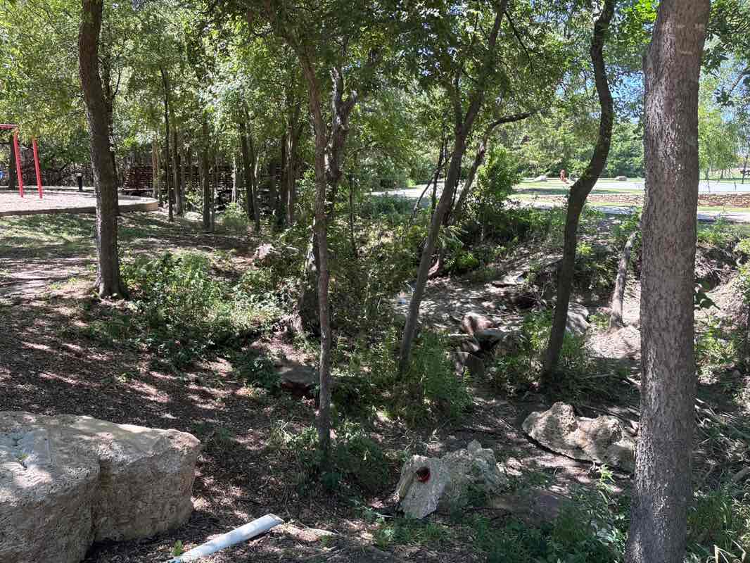 walking near me in Shores Park in summer