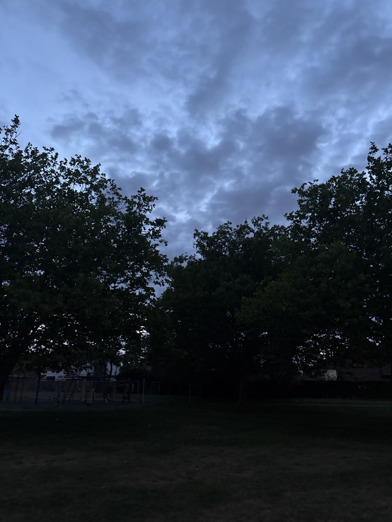 walking near me in Barham Park in summer